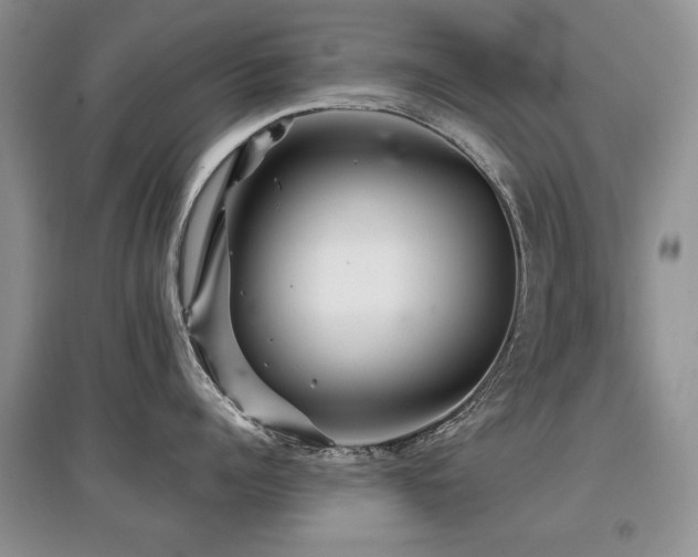 X0000097870960200803141255