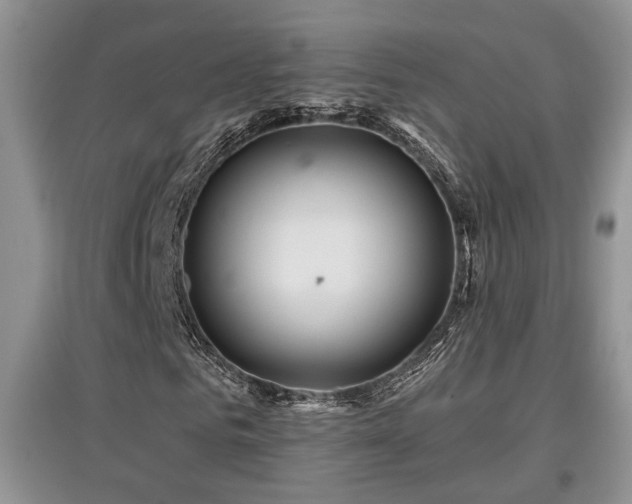 X0000097870961200803141254