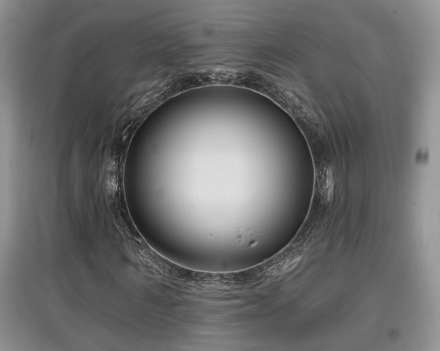 X0000097870962200803141254