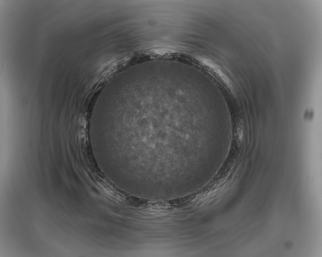 X0000097870964200803141254