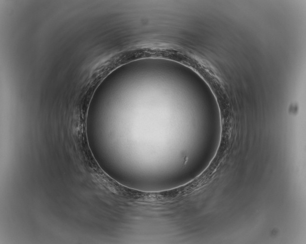 X0000097870966200803141254