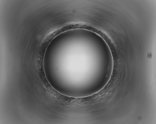 X0000097870967200803141254