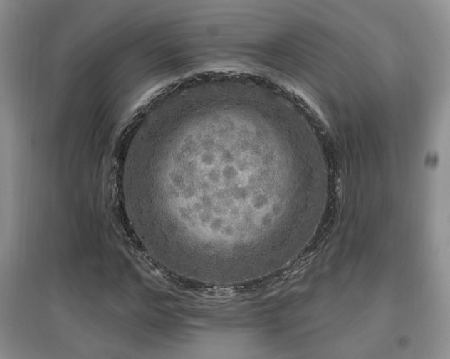 X0000097870968200803141254