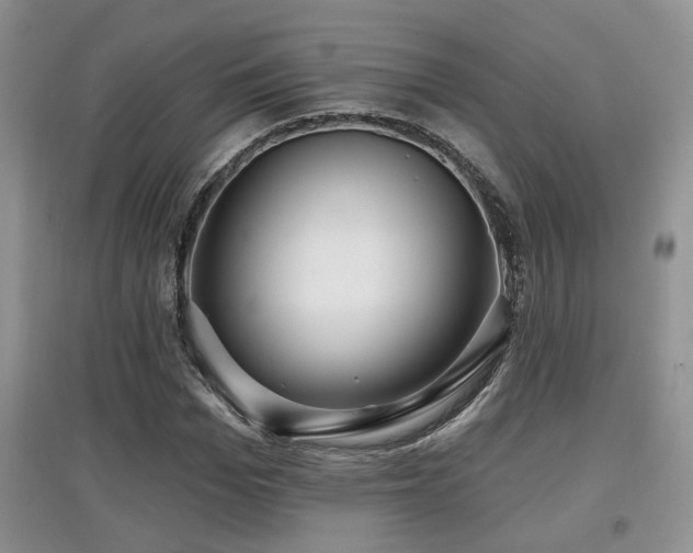 X0000097870969200803141254