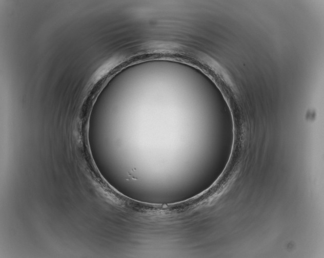 X0000097870970200803141254