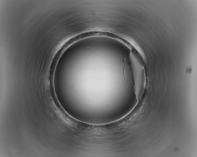 X0000097870972200803141254