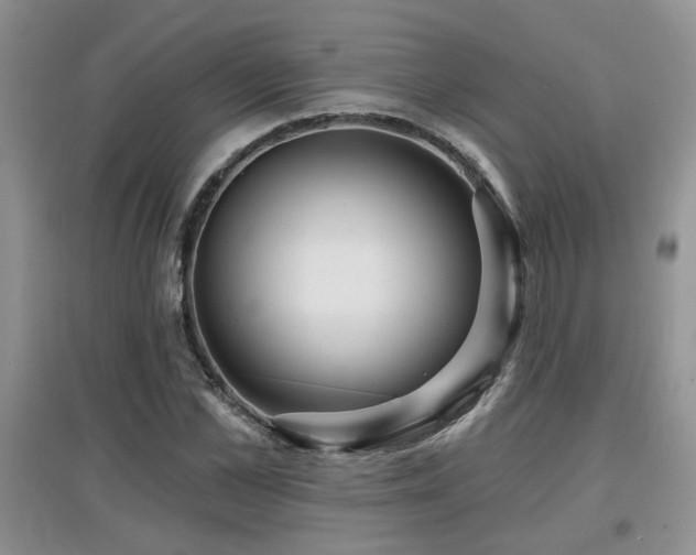 X0000097870973200803141254