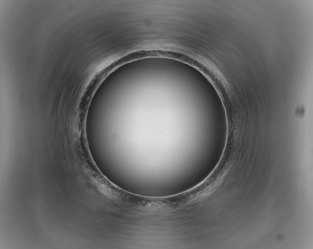 X0000097870974200803141254