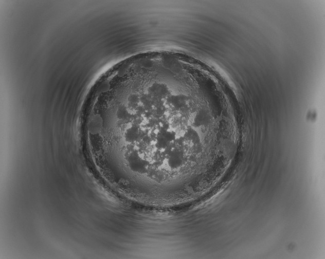 X0000097870975200803141254