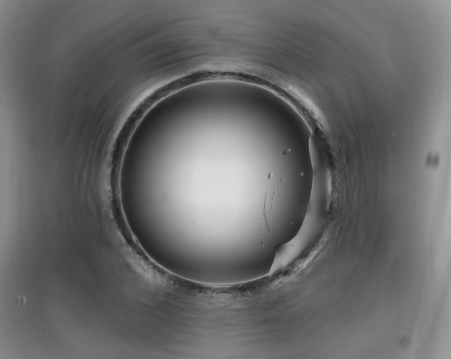 X0000097870976200803141254