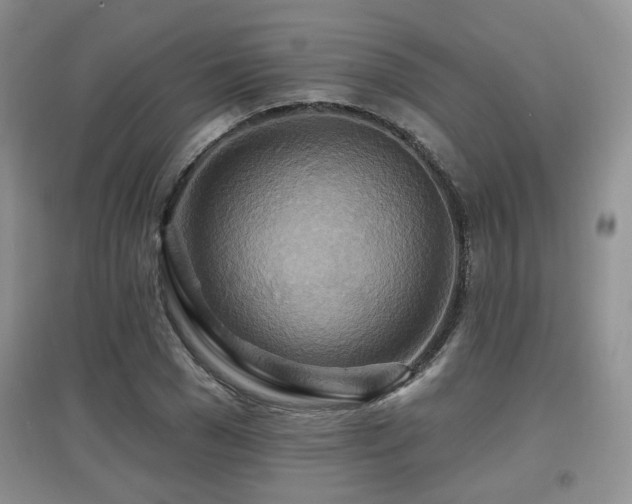 X0000097870977200803141254