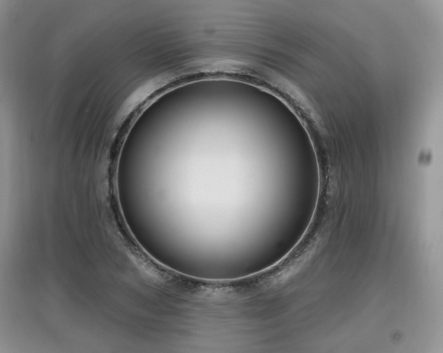 X0000097870978200803141254