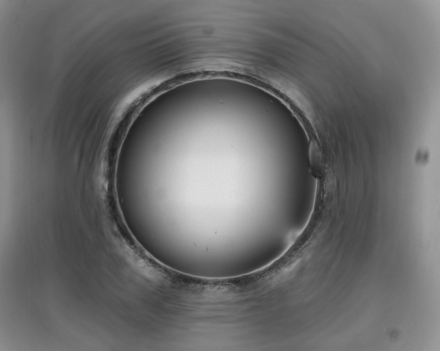 X0000097870979200803141254