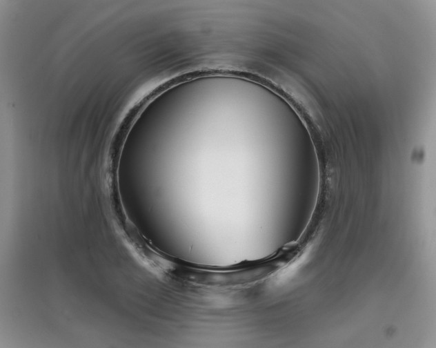 X0000097870981200803141254
