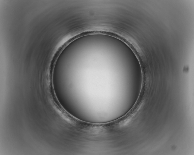 X0000097870982200803141254