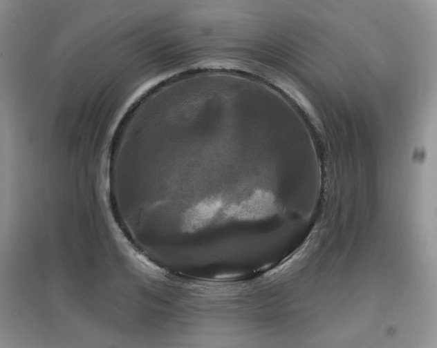 X0000097870984200803141254
