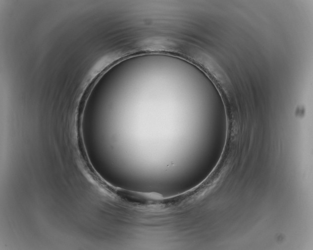 X0000097870986200803141254