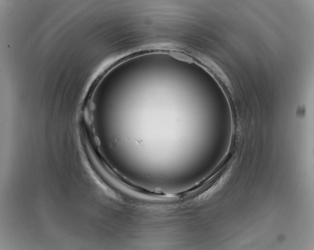 X0000097870989200803141254