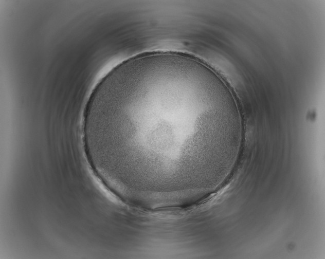 X0000097870990200803141254