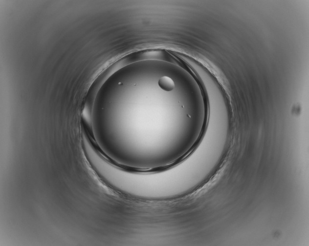 X0000097870993200803141254