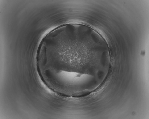 X0000097870995200803141254