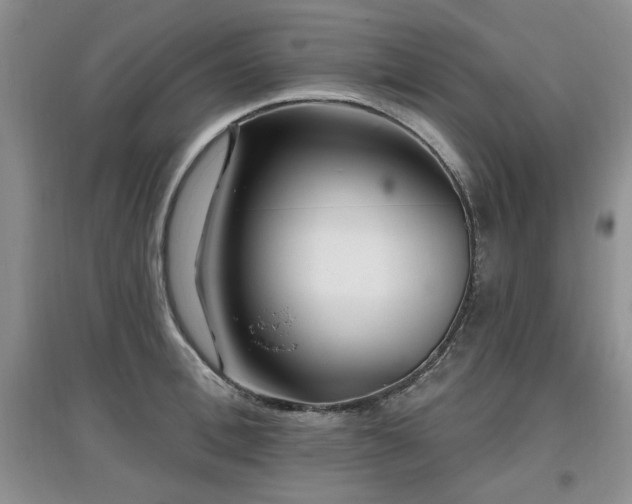 X0000097870996200803141254