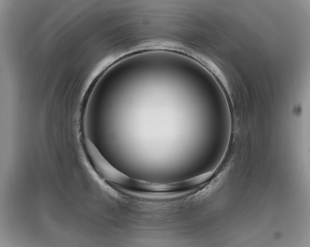 X0000097870997200803141254