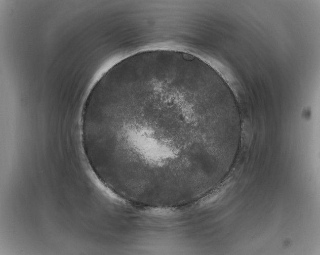 X0000097870998200803141254