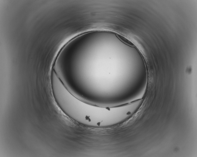 X0000097871004200803141254