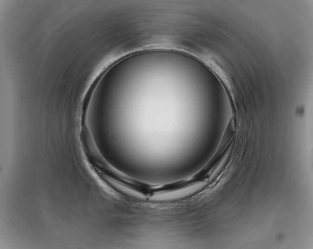 X0000097871005200803141254