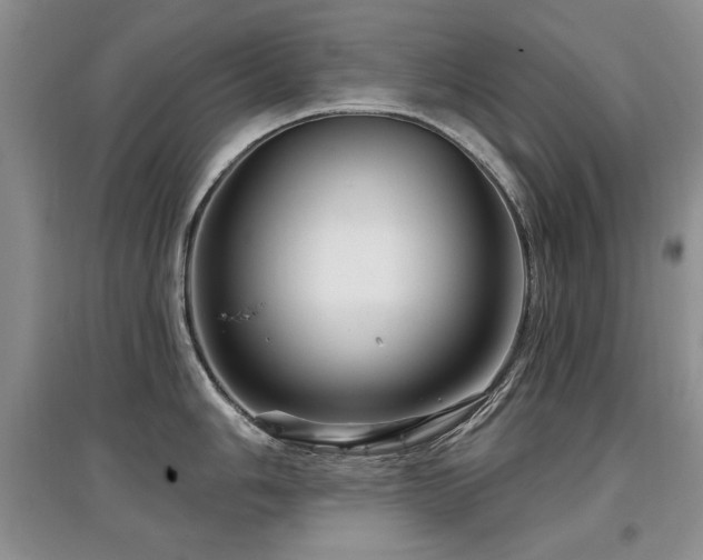 X0000097871006200803141254