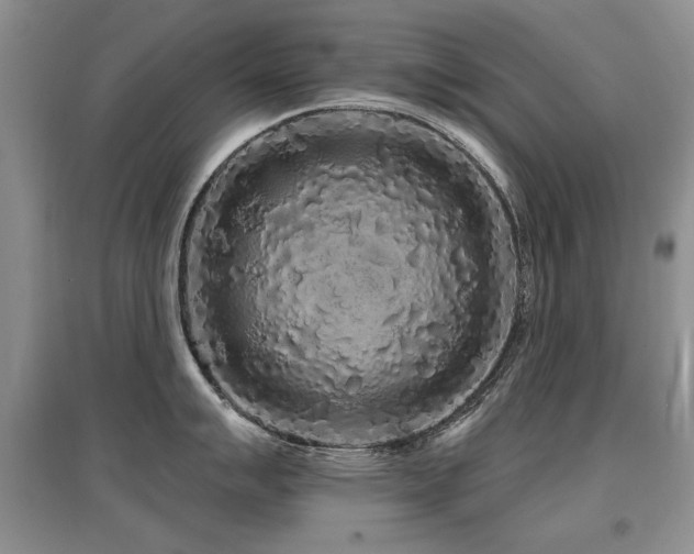 X0000097871007200803141254