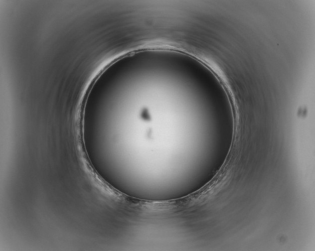X0000097871008200803141254