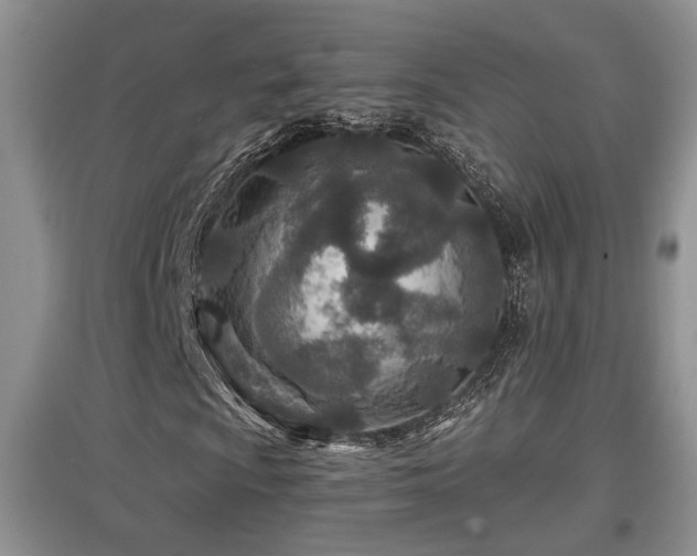 X0000097871009200803141253