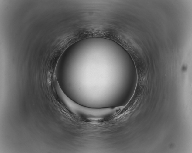 X0000097871010200803141253