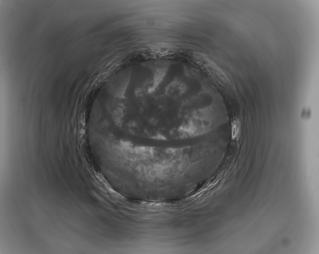 X0000097871011200803141253
