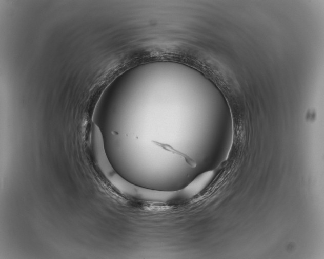 X0000097871012200803141253