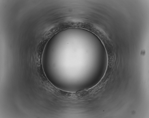 X0000097871013200803141253