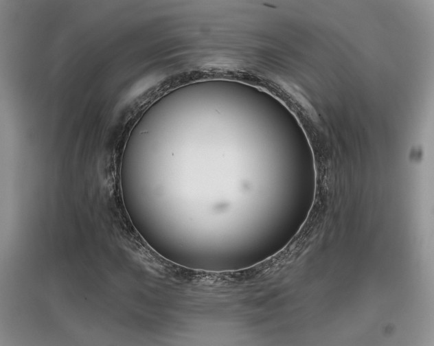 X0000097871015200803141253