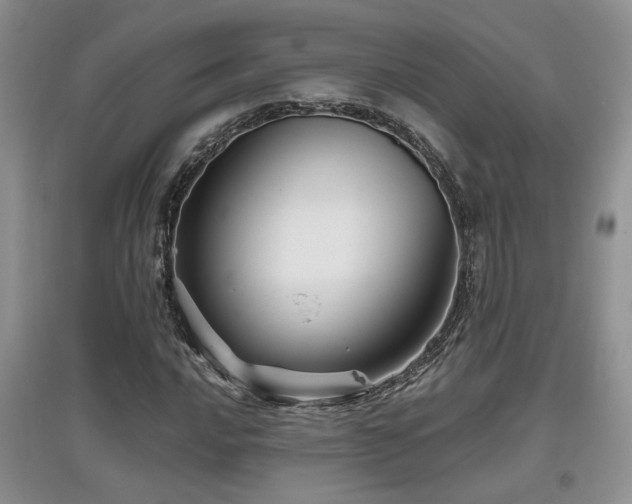 X0000097871016200803141253