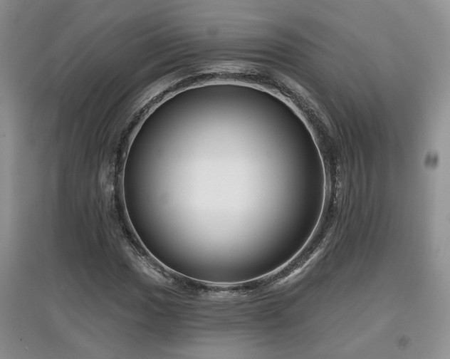 X0000097871017200803141253