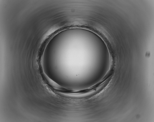 X0000097871018200803141253