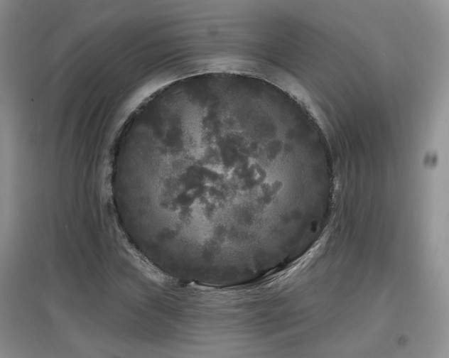 X0000097871019200803141253