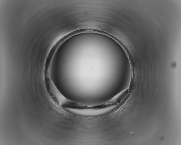 X0000097871020200803141253