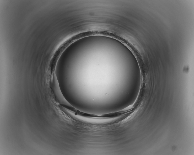 X0000097871021200803141253