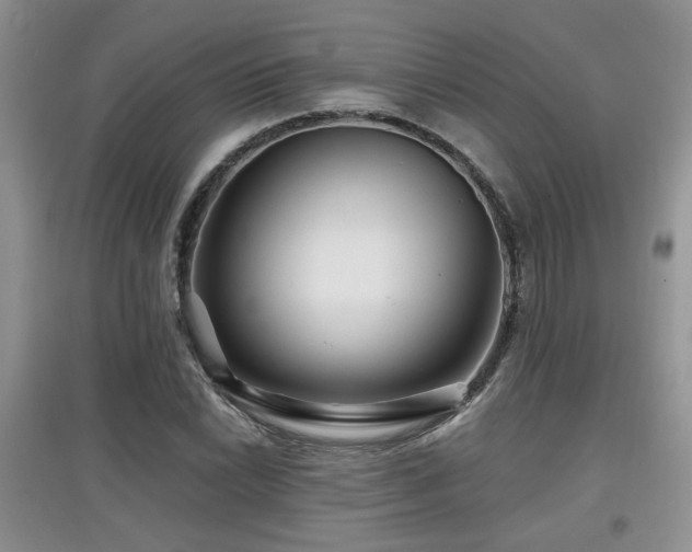 X0000097871022200803141253