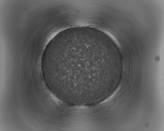 X0000097871023200803141253