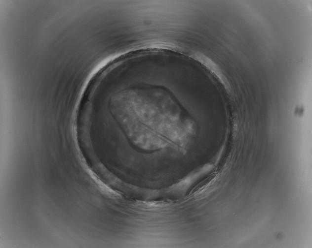 X0000097871024200803141253