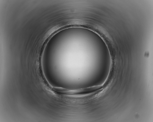 X0000097871025200803141253