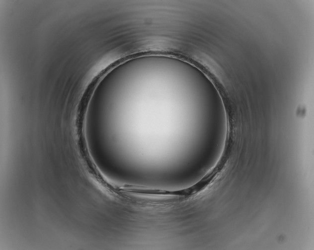X0000097871026200803141253